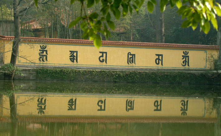 什么东西?字?