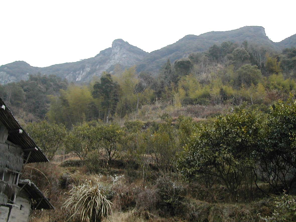 黄岩之行片片