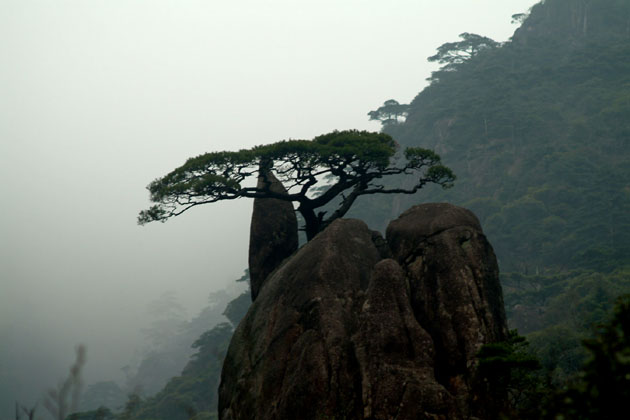 雾锁黄山
