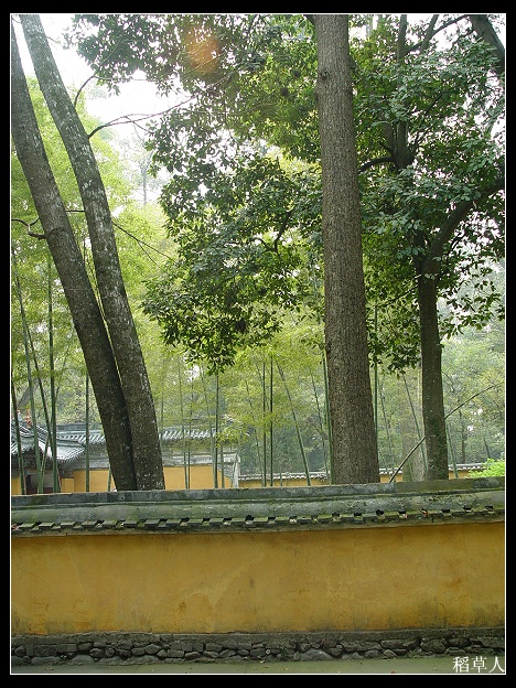 国清归来不看寺