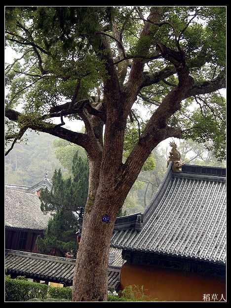 国清归来不看寺