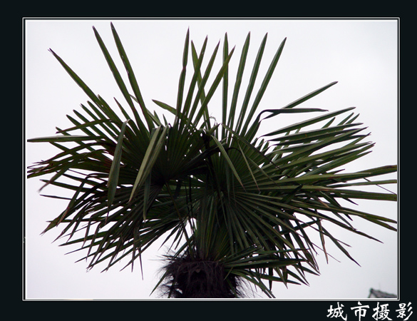 无标题