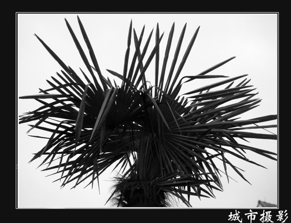无标题