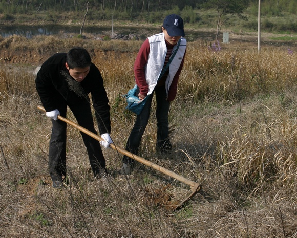 义务植树活动剪影