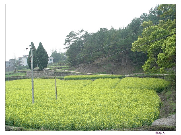 国清寺外