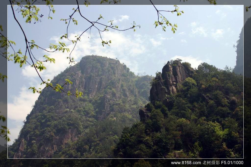 椒黄路玉环温岭驴友4月10日百丈到兴龙湾暴走 椒黄路玉环温岭驴友4月10日百丈到兴龙湾暴走