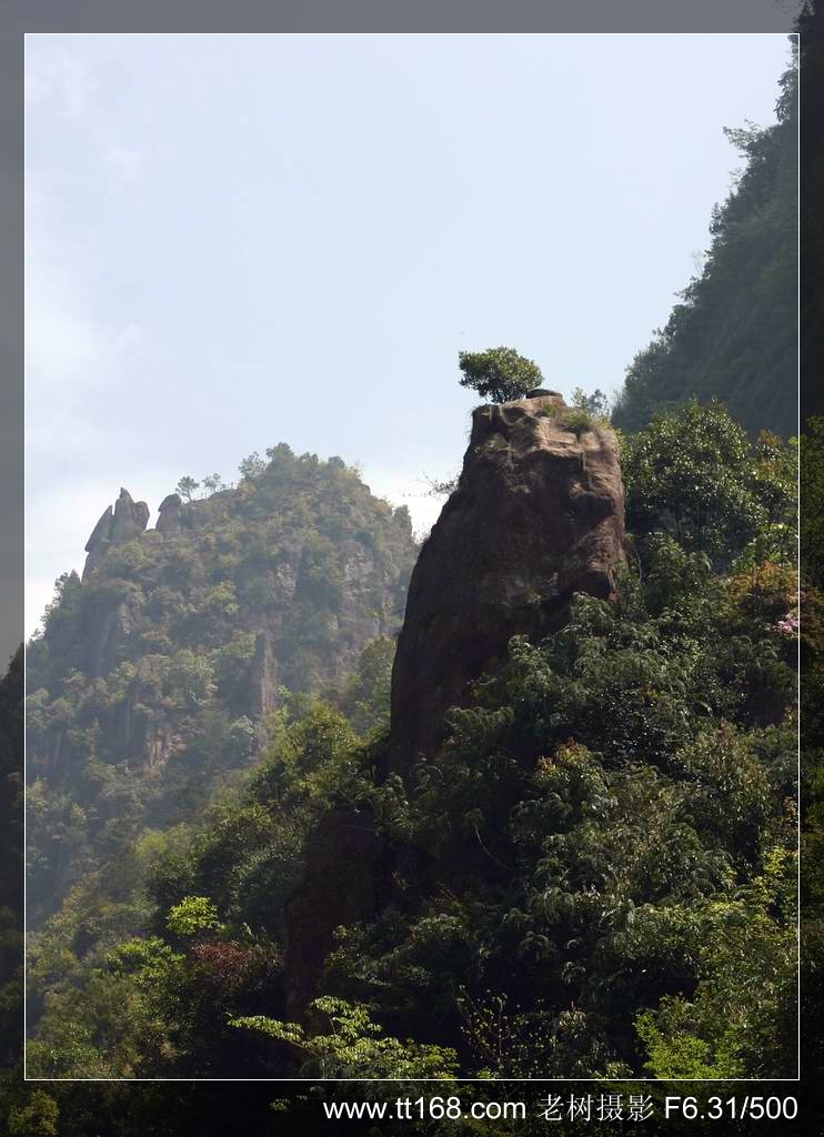 椒黄路玉环温岭驴友4月10日百丈到兴龙湾暴走 椒黄路玉环温岭驴友4月10日百丈到兴龙湾暴走