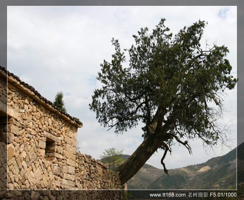 椒黄路玉环温岭驴友4月10日百丈到兴龙湾暴走 椒黄路玉环温岭驴友4月10日百丈到兴龙湾暴走