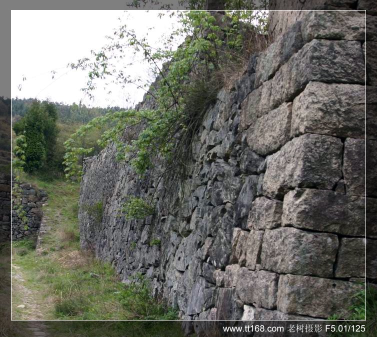 椒黄路玉环温岭驴友4月10日百丈到兴龙湾暴走 椒黄路玉环温岭驴友4月10日百丈到兴龙湾暴走