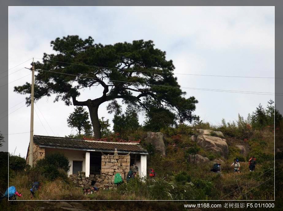 椒黄路玉环温岭驴友4月10日百丈到兴龙湾暴走 椒黄路玉环温岭驴友4月10日百丈到兴龙湾暴走