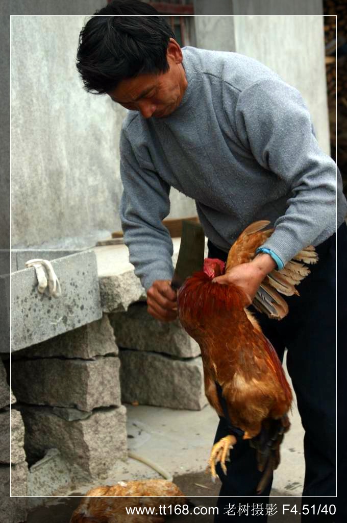 椒黄路玉环温岭驴友4月10日百丈到兴龙湾暴走 椒黄路玉环温岭驴友4月10日百丈到兴龙湾暴走