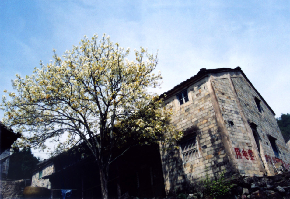 寒山湖（4日、5日活动）\单反机\