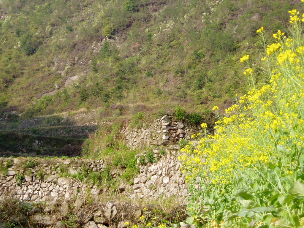 /古寺寻址/翠屏/