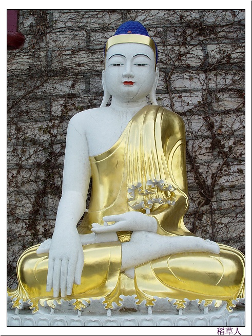 千姿百态的佛祖
