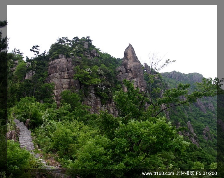 5月15-16日括苍山徒步照片集（按顺序发）