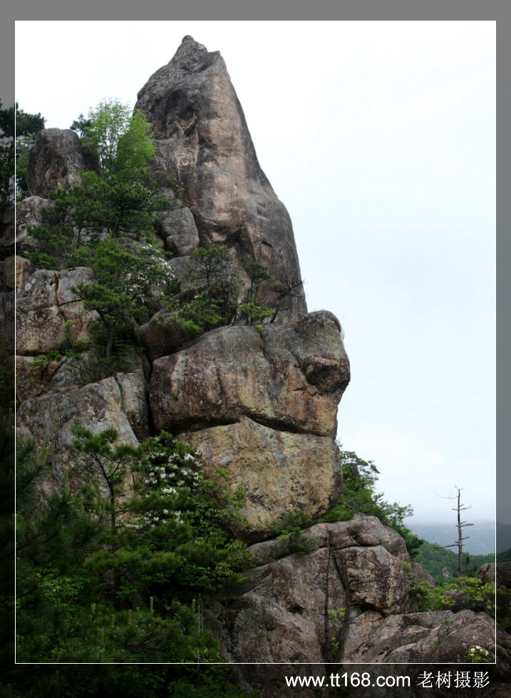 5月15-16日括苍山徒步照片集（按顺序发）