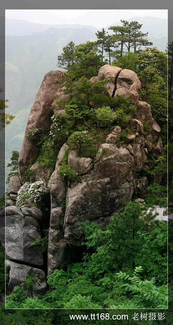 5月15-16日括苍山徒步照片集（按顺序发）