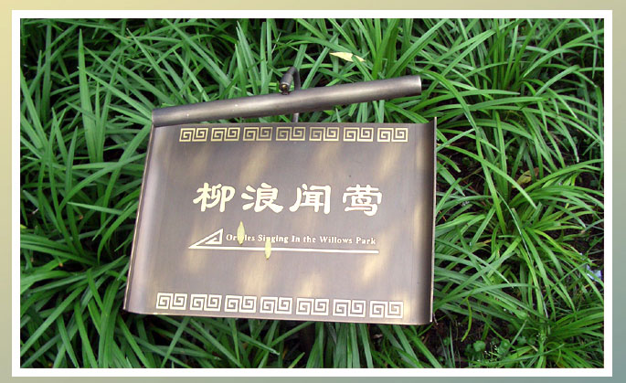 我眼中的雨中西湖
