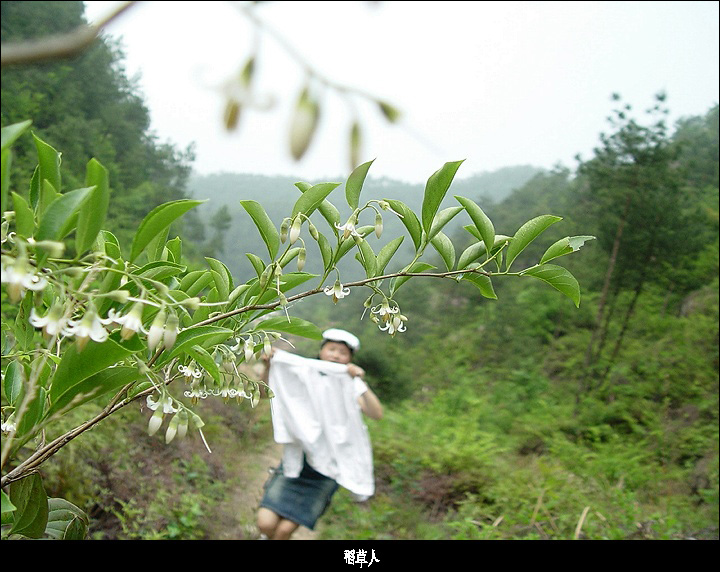 5.2游桃源唇晓——之人在旅途篇