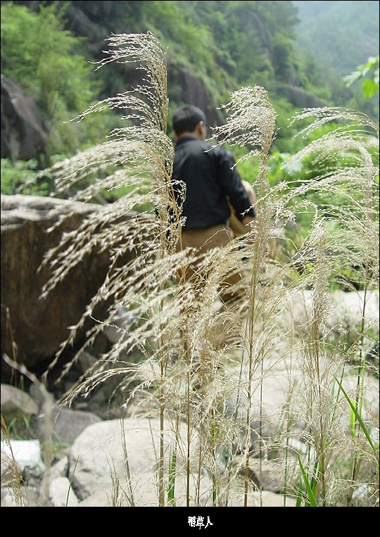 5.2游桃源唇晓——之人在旅途篇