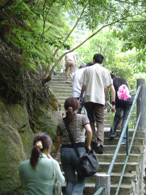 代蝶飞燕舞发PP