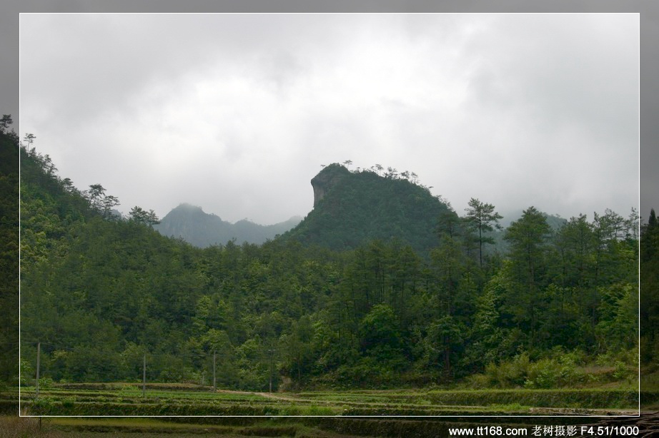 九遮山—大雷山—仙居之行图片集