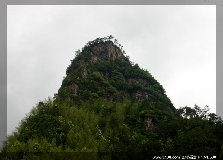 九遮山—大雷山—仙居之行图片集