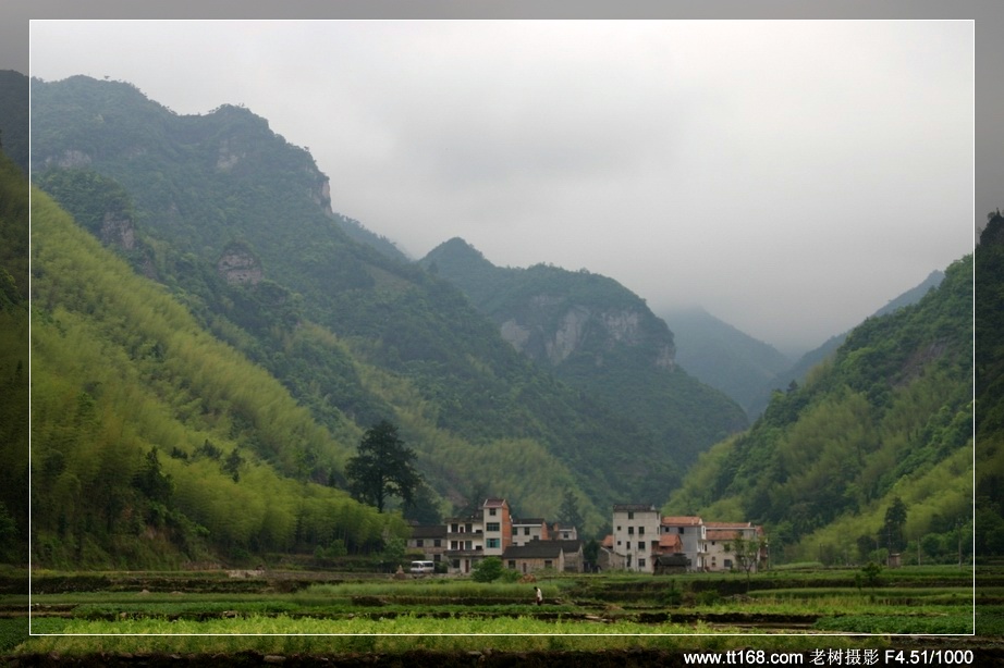 九遮山—大雷山—仙居之行图片集