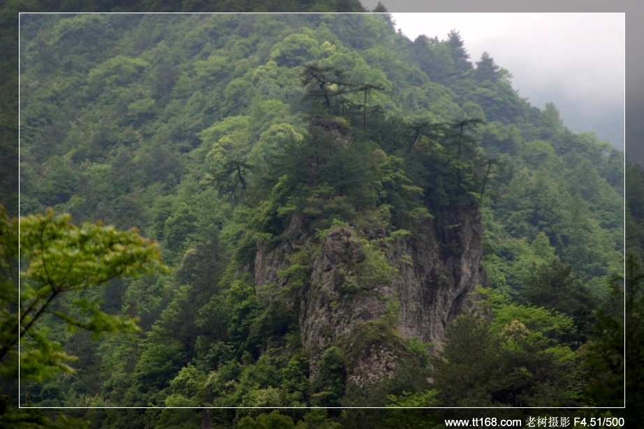 九遮山—大雷山—仙居之行图片集
