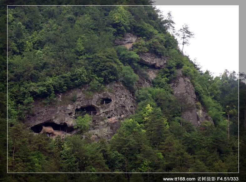 九遮山—大雷山—仙居之行图片集