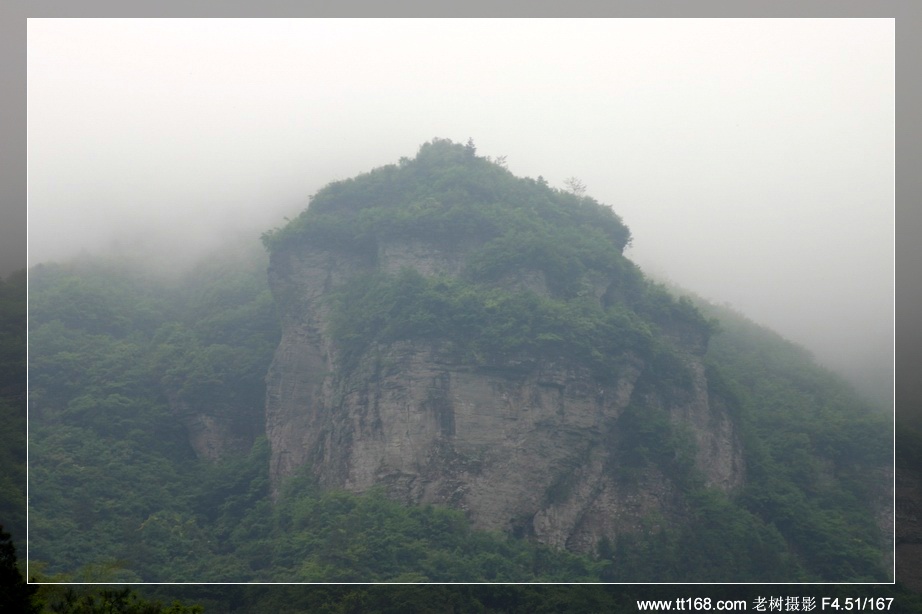 九遮山—大雷山—仙居之行图片集