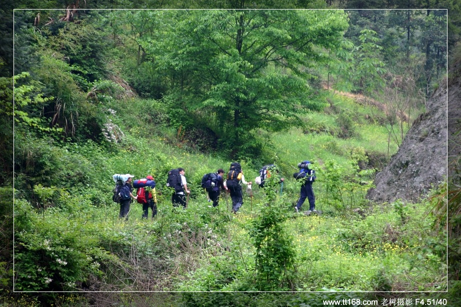 九遮山—大雷山—仙居之行图片集