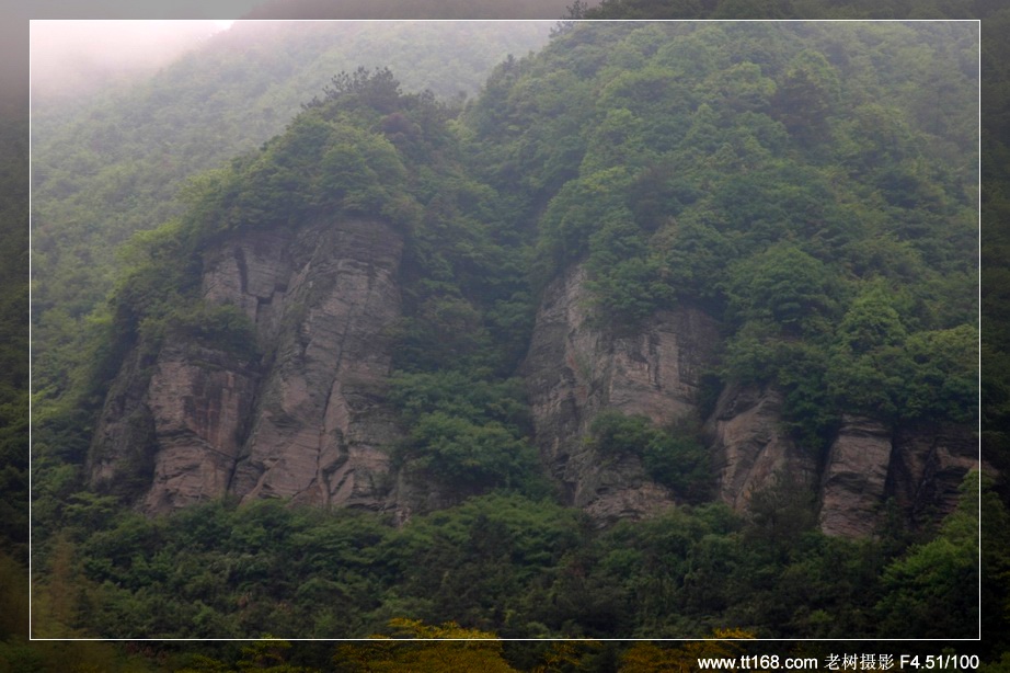 九遮山—大雷山—仙居之行图片集