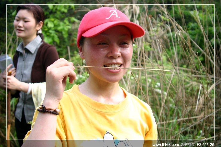 九遮山—大雷山—仙居之行图片集之二 九遮山—大雷山—仙居之行图片集之二