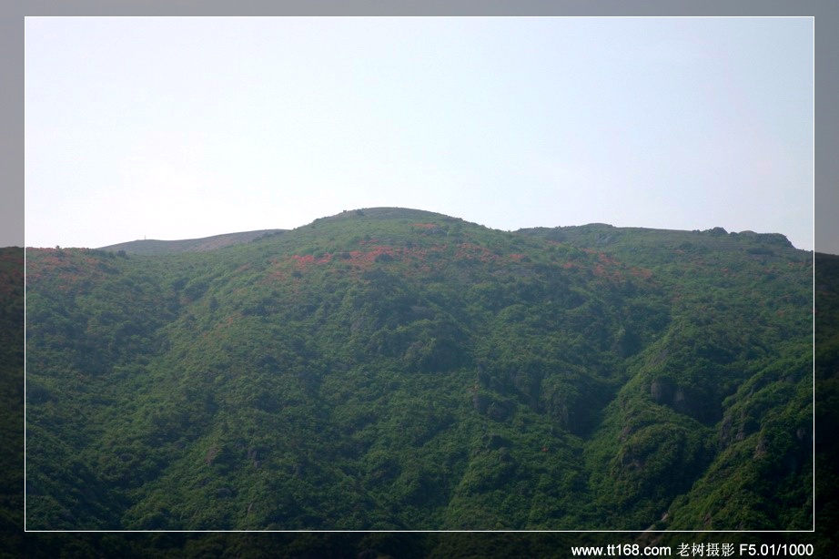九遮山—大雷山—仙居之行图片集之二 九遮山—大雷山—仙居之行图片集之二