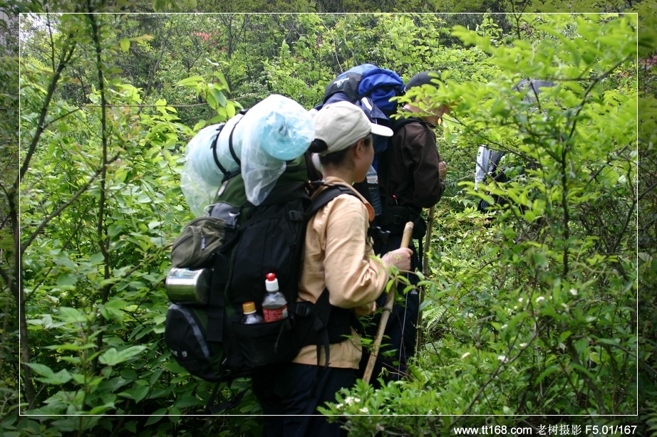 九遮山—大雷山—仙居之行图片集之二 九遮山—大雷山—仙居之行图片集之二