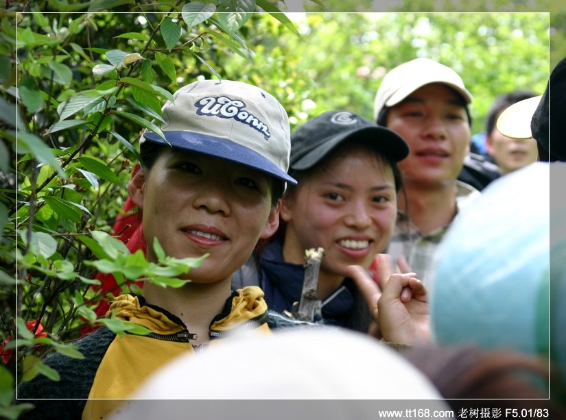 九遮山—大雷山—仙居之行图片集之二 九遮山—大雷山—仙居之行图片集之二