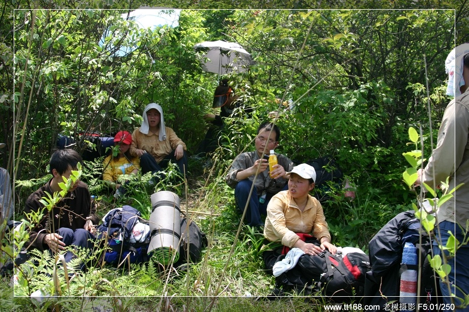 九遮山—大雷山—仙居之行图片集之二 九遮山—大雷山—仙居之行图片集之二