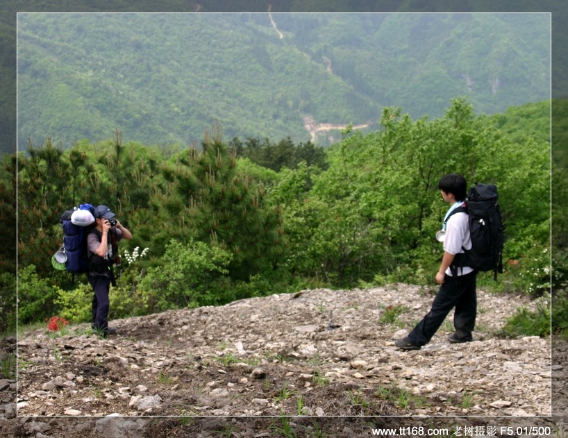 九遮山—大雷山—仙居之行图片集之二 九遮山—大雷山—仙居之行图片集之二