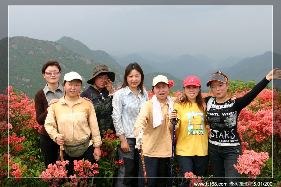 九遮山—大雷山—仙居之行图片集之二 九遮山—大雷山—仙居之行图片集之二