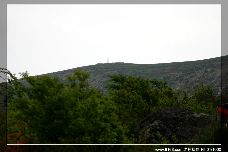 九遮山—大雷山—仙居之行图片集之二 九遮山—大雷山—仙居之行图片集之二