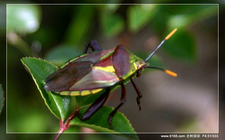 6月5-6日万年寺万马渡休闲游照片