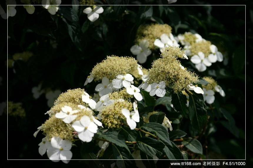 6月5-6日万年寺万马渡休闲游照片