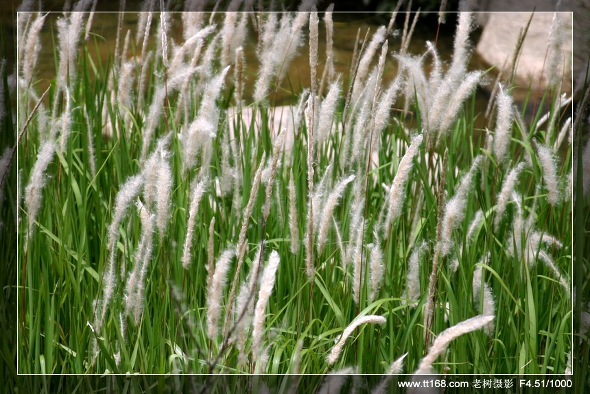 6月5-6日万年寺万马渡休闲游照片