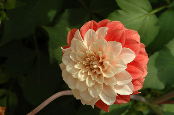 阳光季节--桐坑溪-万年寺-万马渡游记