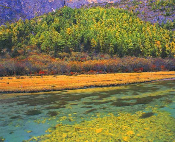 徒步穿越泸沽湖---稻城攻略（路线图）