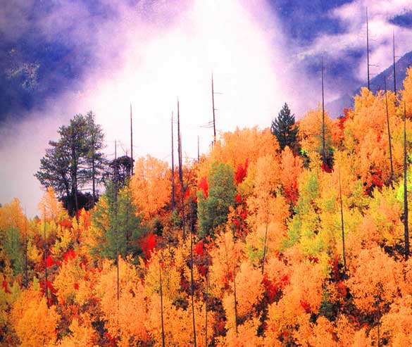 徒步穿越泸沽湖---稻城攻略（路线图）