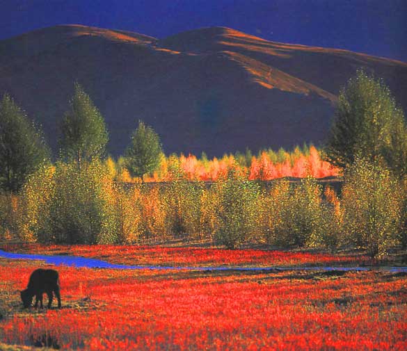 徒步穿越泸沽湖---稻城攻略（路线图）