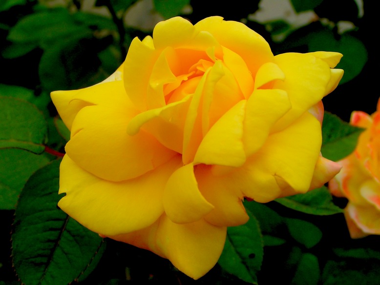 让各位久等了 陆续发苍山的图片