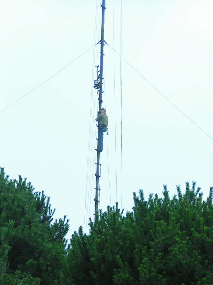 mRls2sdU.jpg